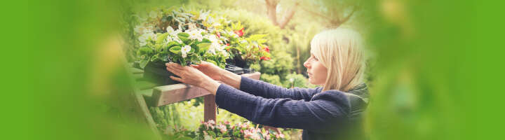 pflanzregal kategorieeinstiegsbanner